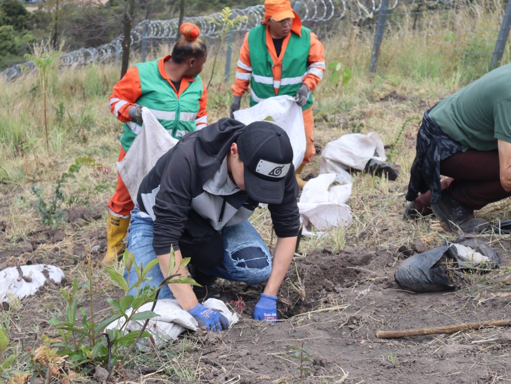 Encuentros Artisticos - Cultural Ambiental Bogota
