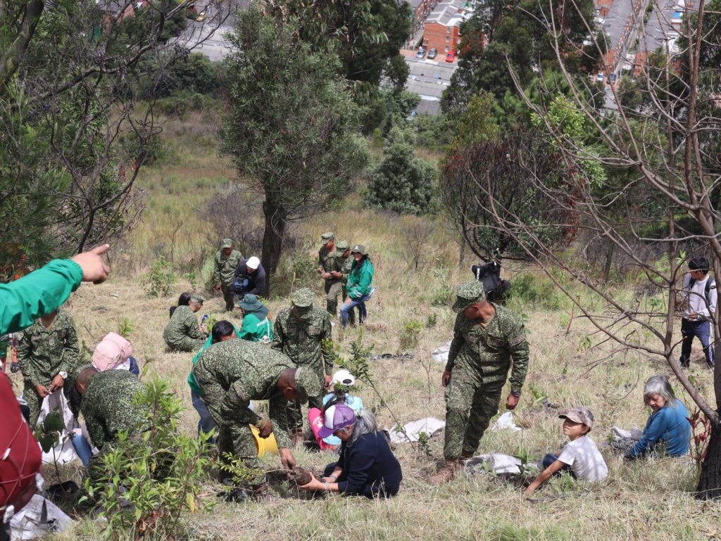 Encuentros Artisticos - Cultural Ambiental Bogota